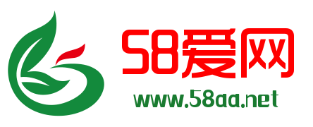 58aa.net